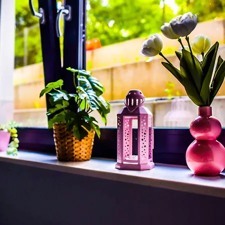 Hot Jacuzzi In Cracow